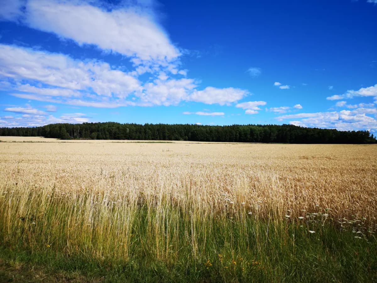 Professionellt aggregatbyte i Enköping