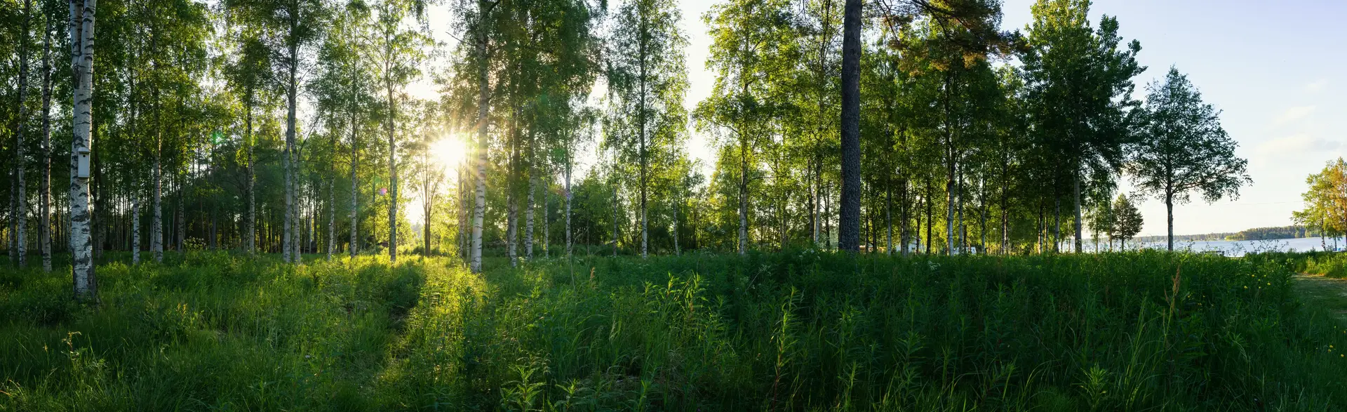 Certifierad radonmätning i Enköping